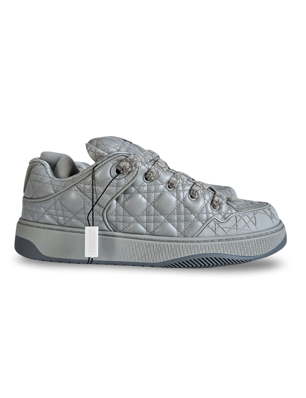 Dior B9S Skater low top sneakers in Gray